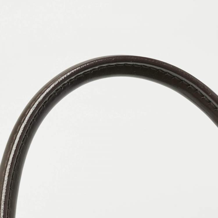 Pre Owned Louis Vuitton Damier Ebene Canvas Trevi PM Bag