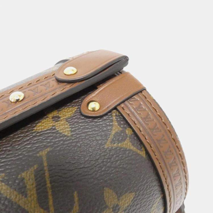 Pre Owned Louis Vuitton Papillon Trunk Monogram Coated Canvas Shoulder Bag