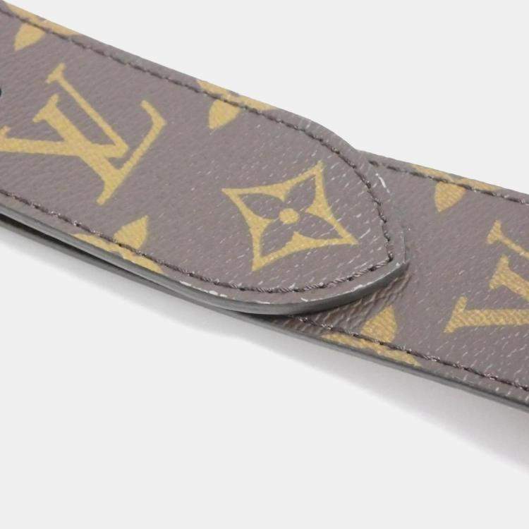 Pre Owned Louis Vuitton Papillon Trunk Monogram Coated Canvas Shoulder Bag