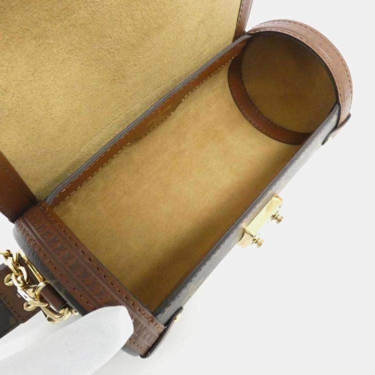 Pre Owned Louis Vuitton Papillon Trunk Monogram Coated Canvas Shoulder Bag