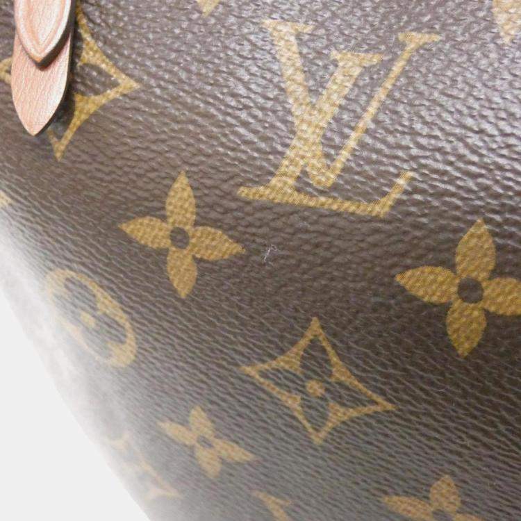 Pre Owned Louis Vuitton Loop Monogram Reverse Canvas Hobo Bag