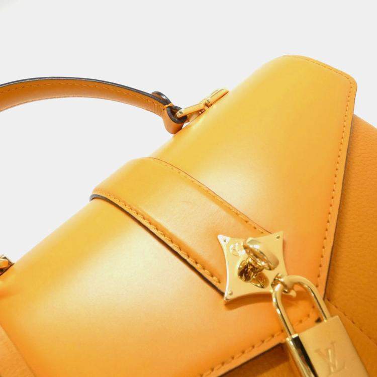 Pre Owned Louis Vuitton Rose des Vents Leather Handbag