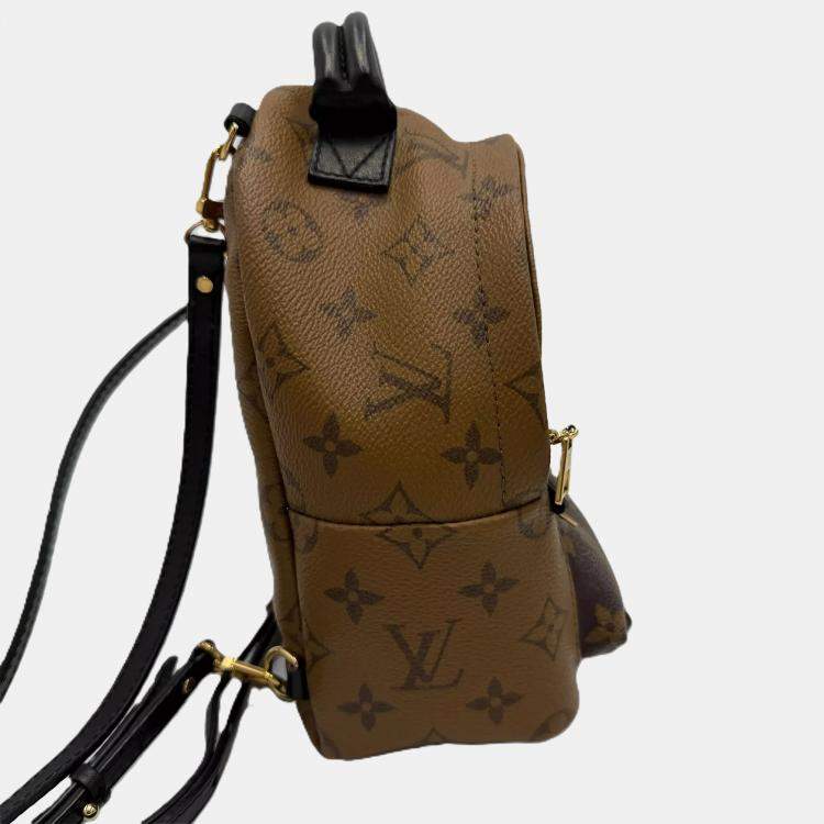 Pre Owned Louis Vuitton Palm Springs Mini Brown Monogram Canvas Backpack