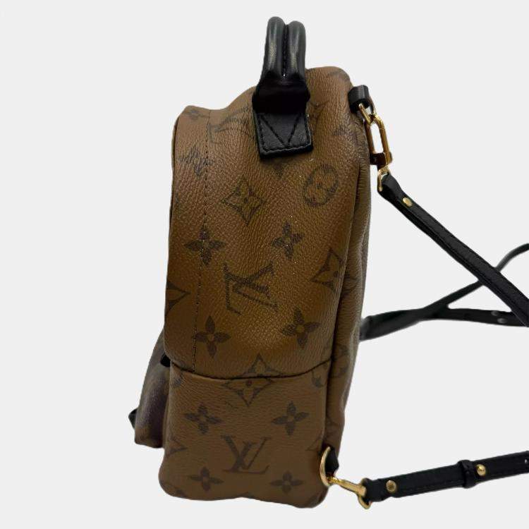 Pre Owned Louis Vuitton Palm Springs Mini Brown Monogram Canvas Backpack