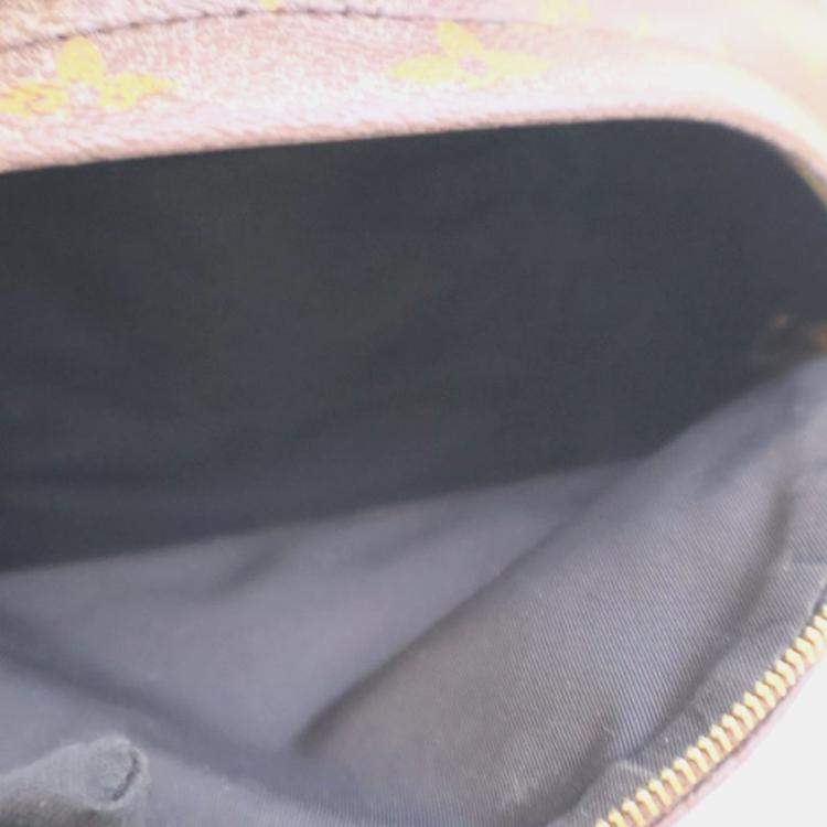مملوكة مسبقًا Louis Vuitton Palm Springs Mini Brown Monogram Coated Canvas Backpack