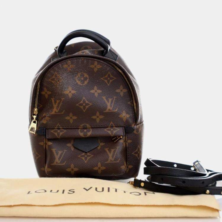 مملوكة مسبقًا Louis Vuitton Palm Springs Mini Brown Monogram Coated Canvas Backpack