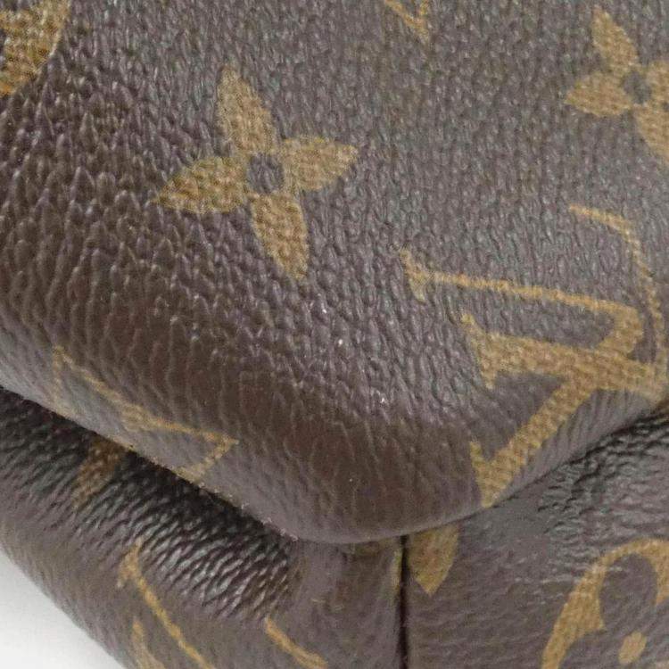 Pre Owned Louis Vuitton Apollo Monogram Pacific Backpack Bag