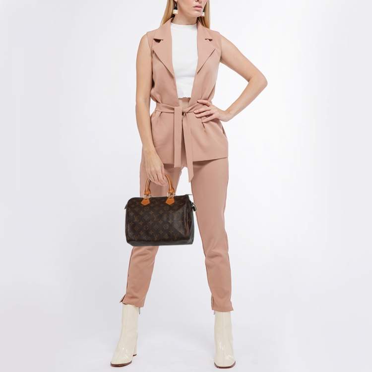 Pre Owned Louis Vuitton Monogram Canvas Speedy 25 Bag
