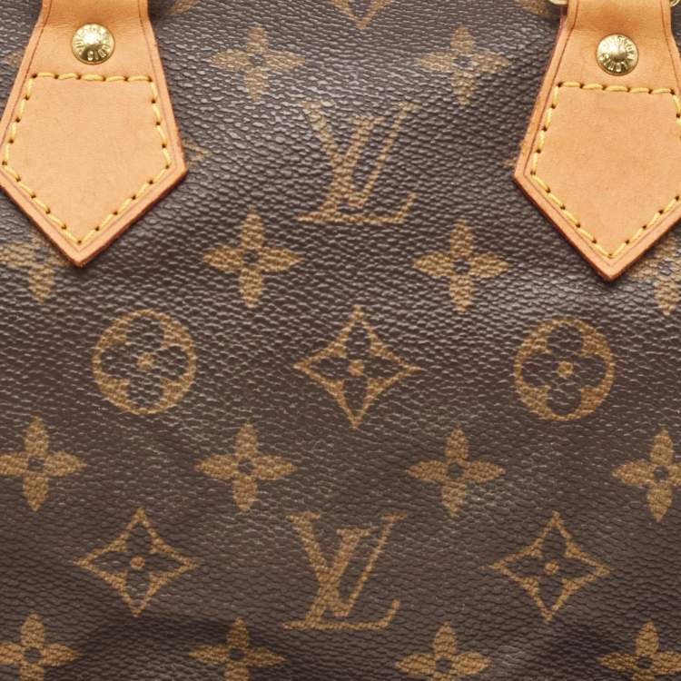 Pre Owned Louis Vuitton Monogram Canvas Speedy 25 Bag