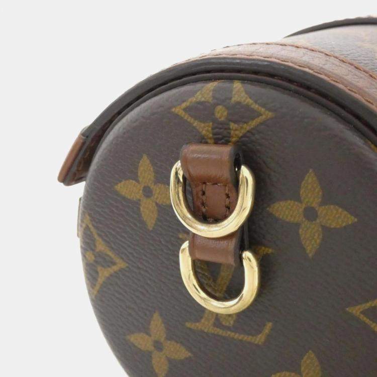 Pre Owned Louis Vuitton Papillon Trunk Monogram Coated Canvas Shoulder Bag