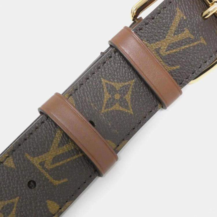 Pre Owned Louis Vuitton Papillon Trunk Monogram Coated Canvas Shoulder Bag