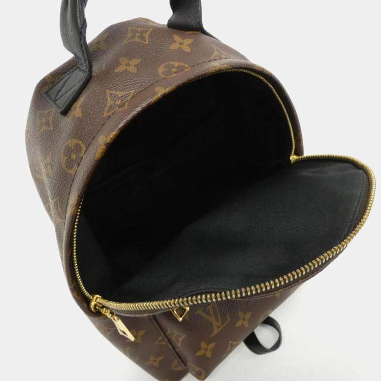 Pre Owned Louis Vuitton Palm Springs PM Monogram Canvas Backpack