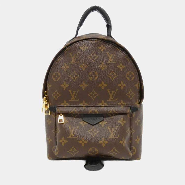 Pre Owned Louis Vuitton Palm Springs PM Monogram Canvas Backpack