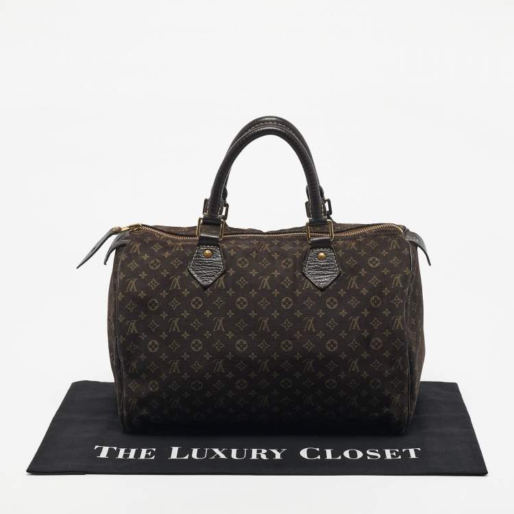 Pre Owned Louis Vuitton Fusain Monogram Mini Lin Canvas Speedy 30 Bag