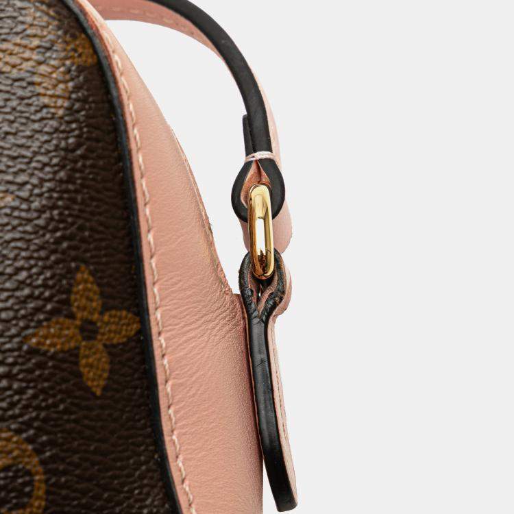 Pre Owned Louis Vuitton Brown Monogram Saintonge