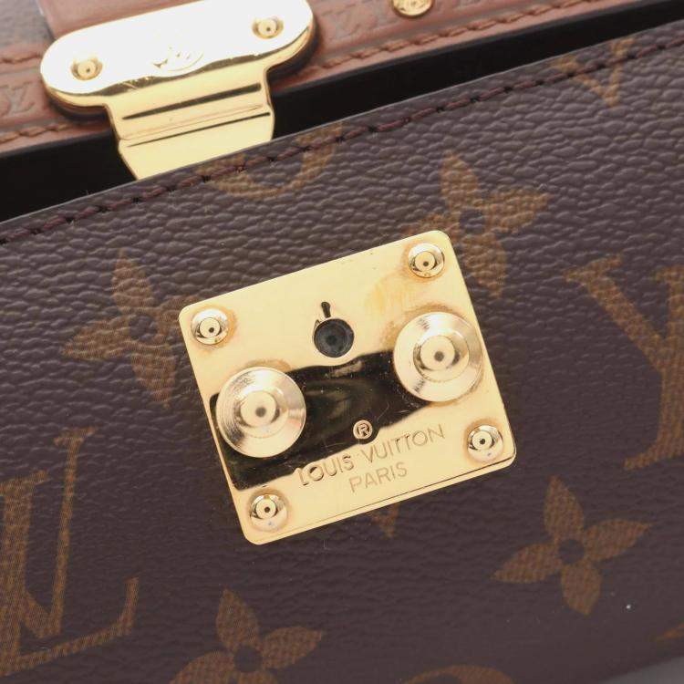 Pre Owned Louis Vuitton Papillon Trunk Monogram Coated Canvas Shoulder Bag