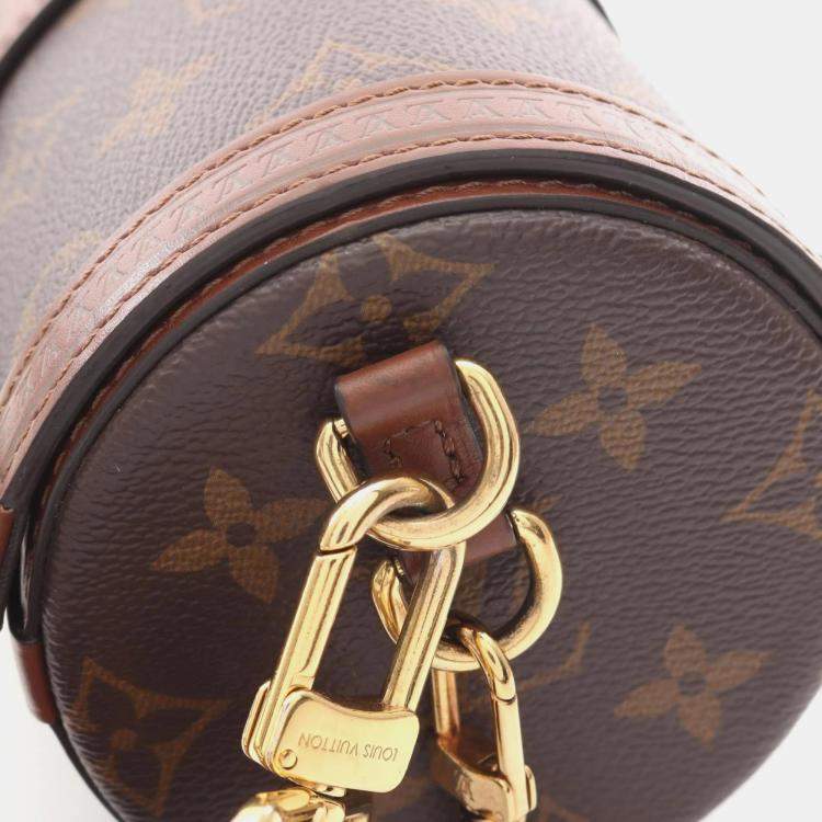 Pre Owned Louis Vuitton Papillon Trunk Monogram Coated Canvas Shoulder Bag