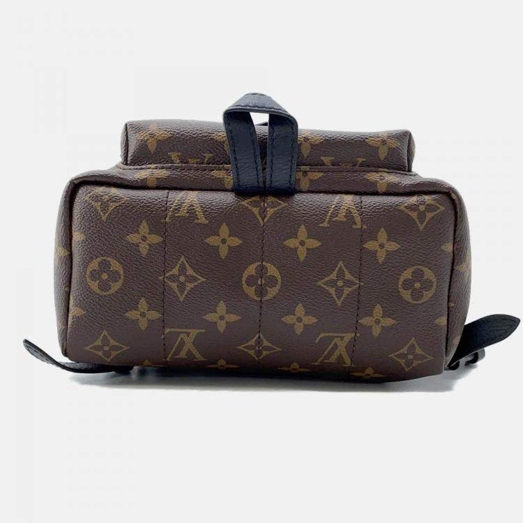 Pre Owned Louis Vuitton Palm Springs Backpack Noir Monogram Size PM 