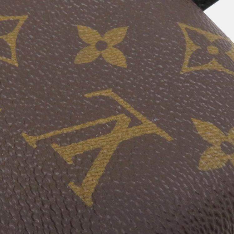 Pre Owned Louis Vuitton Palm Springs Backpack Noir Monogram Size PM 
