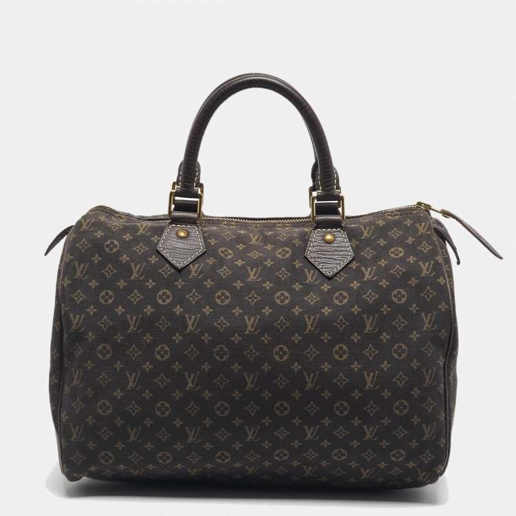Pre Owned Louis Vuitton Fusain Monogram Mini Lin Fabric Speedy 30 Bag