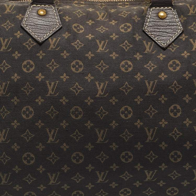 Pre Owned Louis Vuitton Fusain Monogram Mini Lin Fabric Speedy 30 Bag