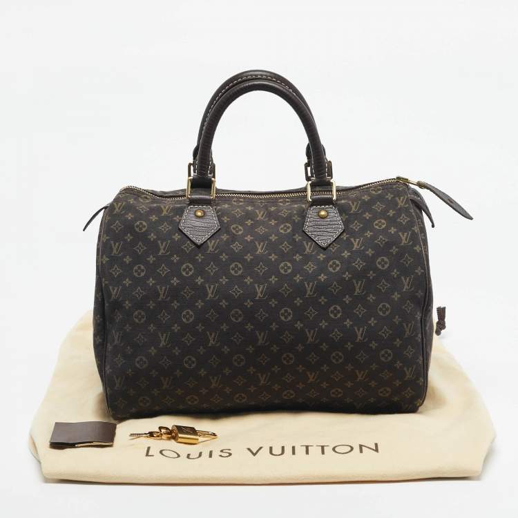 Pre Owned Louis Vuitton Fusain Monogram Mini Lin Fabric Speedy 30 Bag