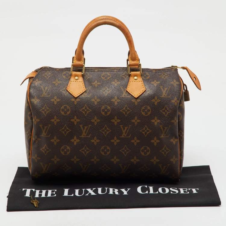 Pre Owned Louis Vuitton Monogram Canvas Speedy 30 Bag