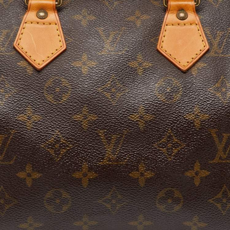 Pre Owned Louis Vuitton Monogram Canvas Speedy 25 Bag