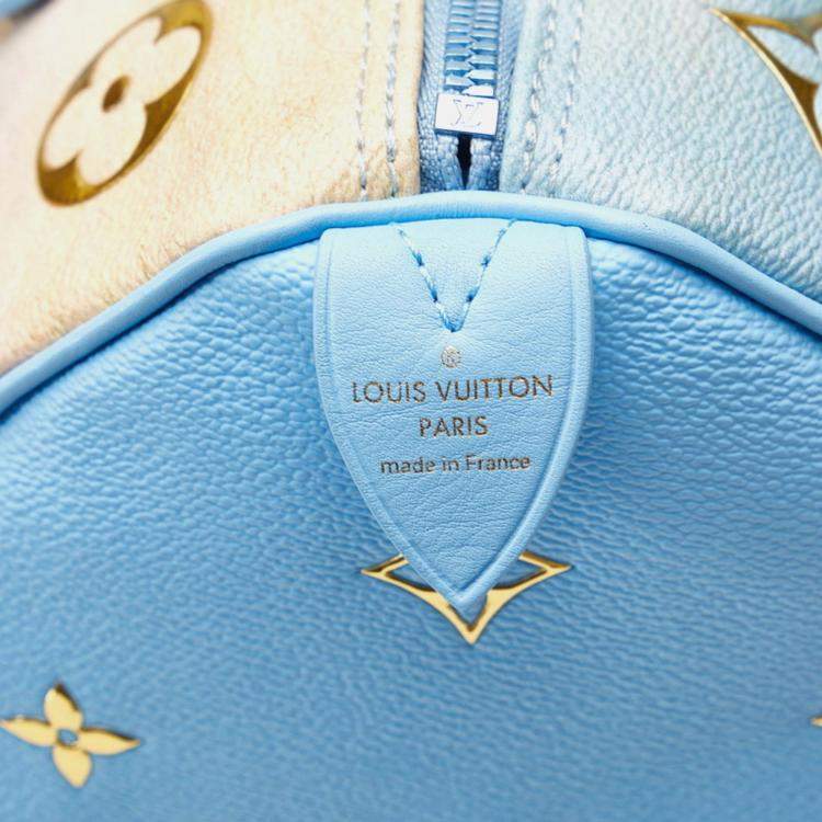 Pre Owned Louis Vuitton Masters Collection Turner Speedy 30 Blue Multicolor PVC Leather Handbag