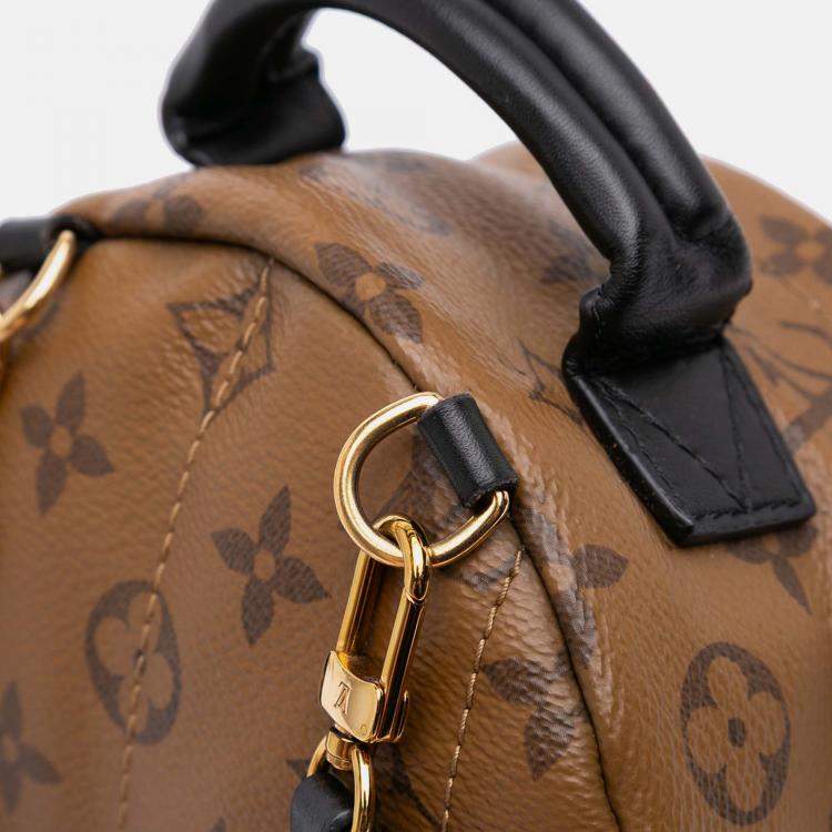 Pre Owned Louis Vuitton Brown Monogram Reverse Mini Palm Springs
