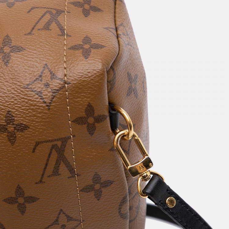 Pre Owned Louis Vuitton Brown Monogram Reverse Mini Palm Springs