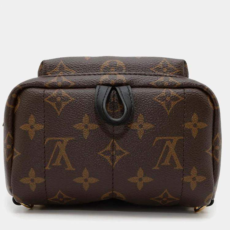 Pre Owned Louis Vuitton Palm Springs Mini Noir Monogram Backpack