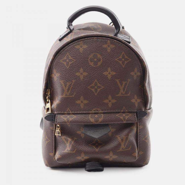 Pre Owned Louis Vuitton Brown Monogram Mini Palm Springs