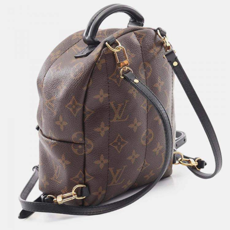 Pre Owned Louis Vuitton Brown Monogram Mini Palm Springs