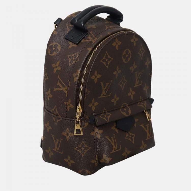 Pre Owned Louis Vuitton Palm Springs Mini Monogram Backpack