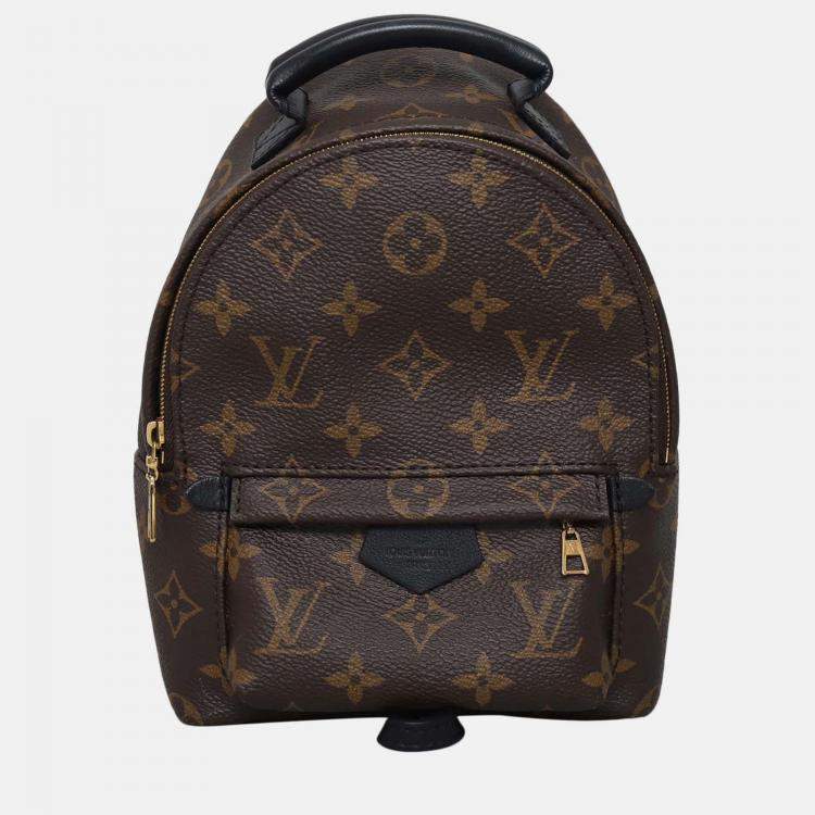 Pre Owned Louis Vuitton Palm Springs Mini Monogram Backpack