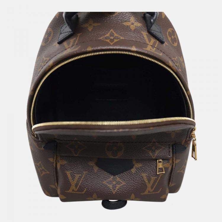 Pre Owned Louis Vuitton Palm Springs Mini Monogram Backpack