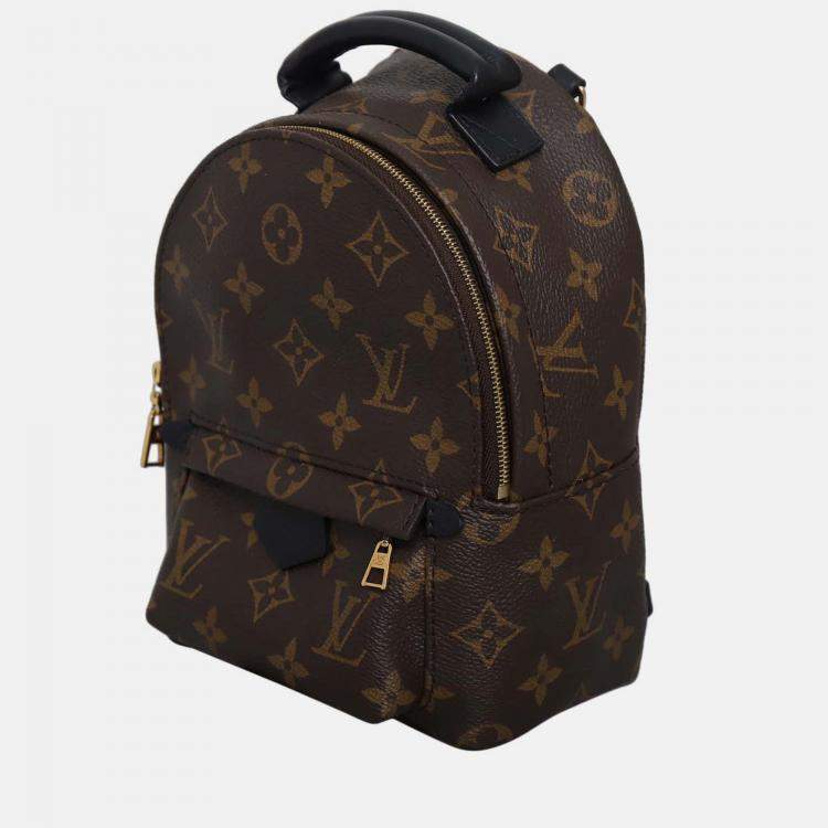 Pre Owned Louis Vuitton Palm Springs Mini Monogram Backpack