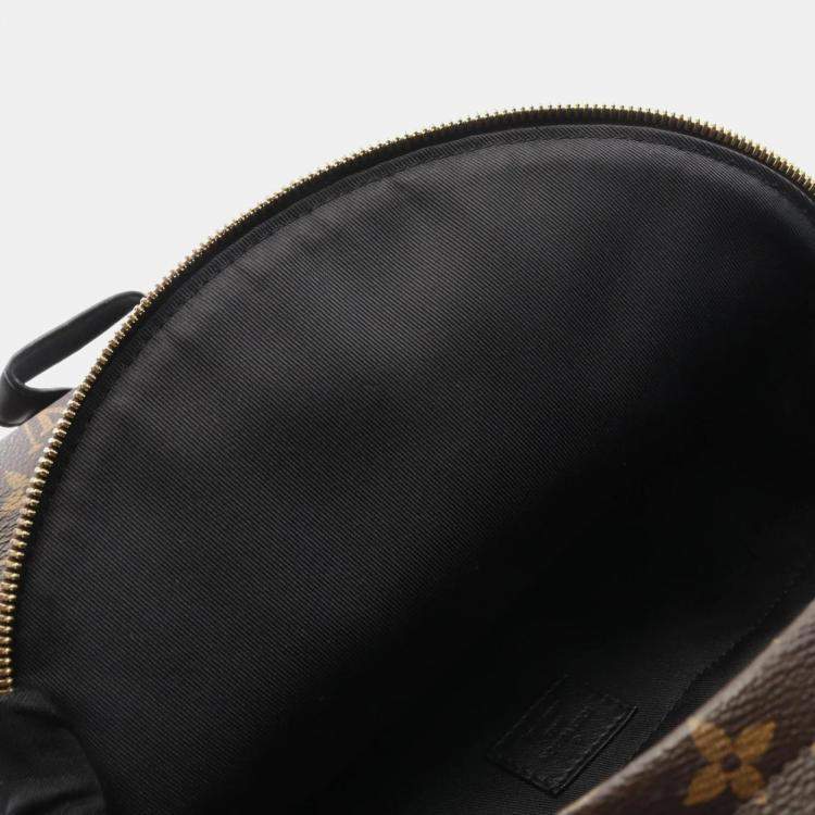 Pre Owned Louis Vuitton Palm Springs MM Brown Monogram Coated Canvas Backpack