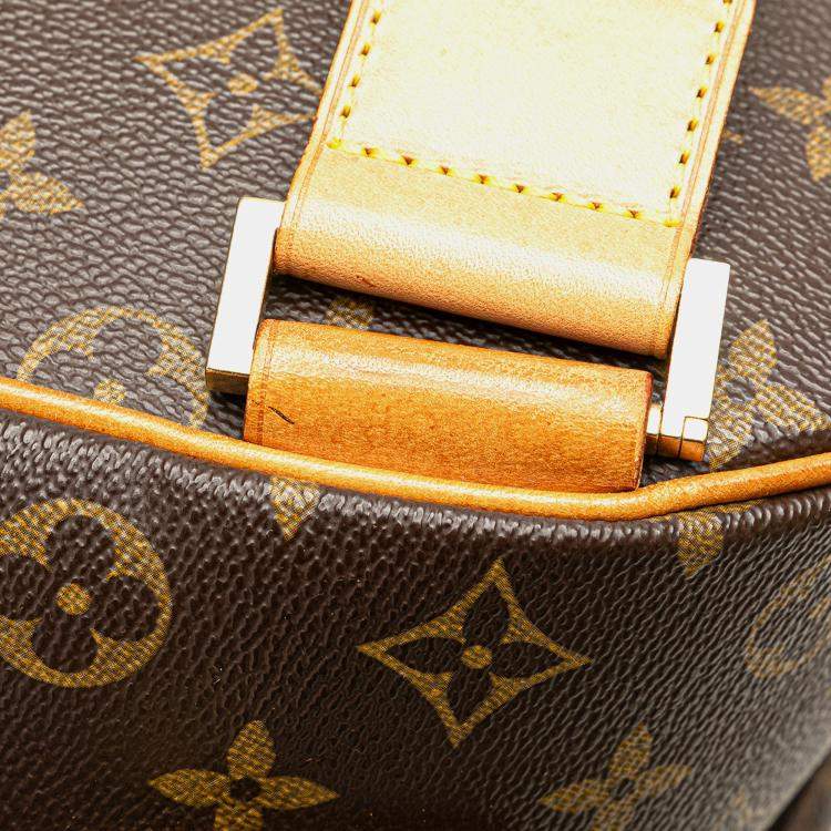 Pre Owned Louis Vuitton Brown Monogram Sac a Dos Packall