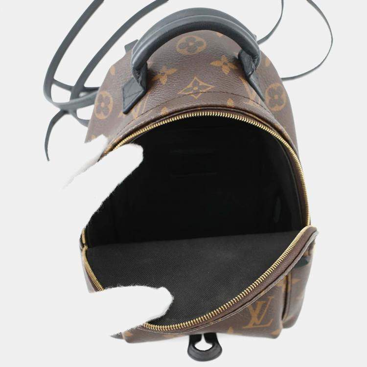 Pre Owned Louis Vuitton Palm Springs Mini Noir Monogram Canvas Backpack