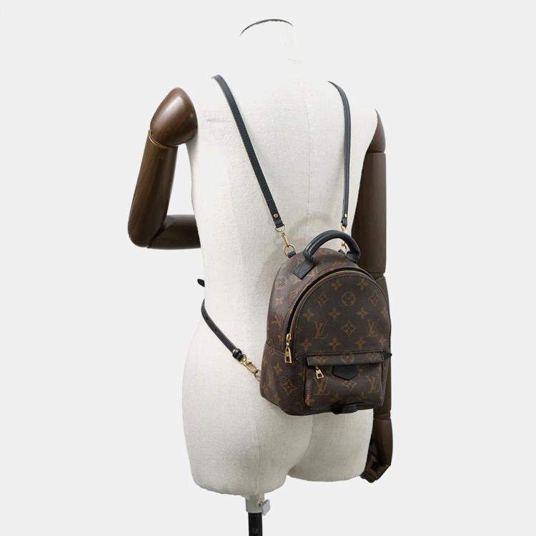 Pre Owned Louis Vuitton Palm Springs Mini Noir Monogram Canvas Backpack