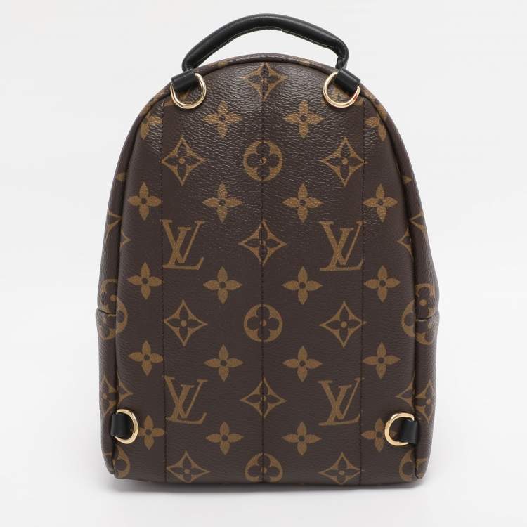 Pre Owned Louis Vuitton Monogram Canvas Mini Palm Springs Backpack