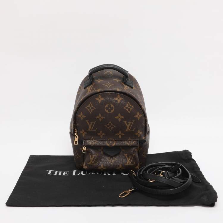 Pre Owned Louis Vuitton Monogram Canvas Mini Palm Springs Backpack