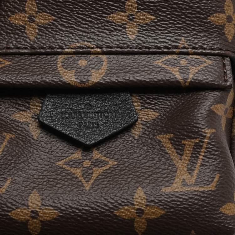 Pre Owned Louis Vuitton Monogram Canvas Mini Palm Springs Backpack