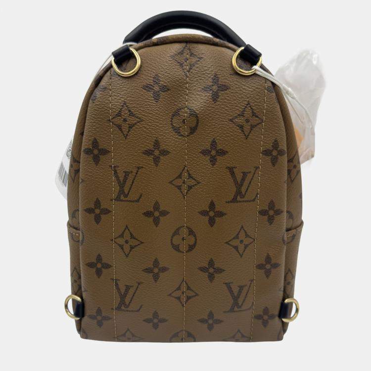 Pre Owned Louis Vuitton Monogram Canvas Mini Palm Springs Backpack