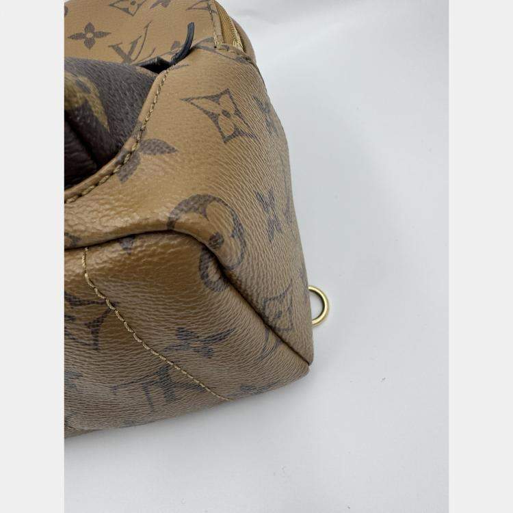 Pre Owned Louis Vuitton Monogram Canvas Mini Palm Springs Backpack