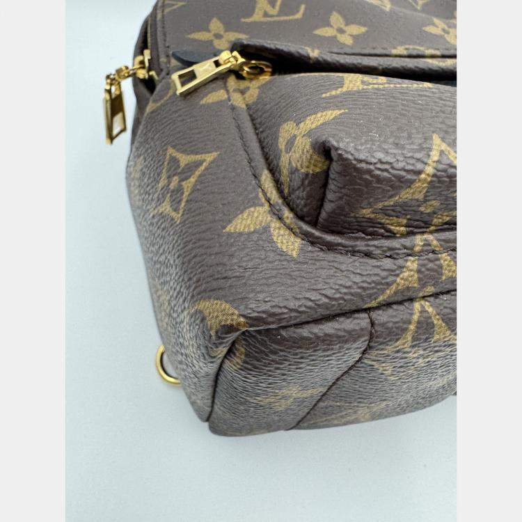 Pre Owned Louis Vuitton Monogram Canvas Mini Palm Springs Backpack