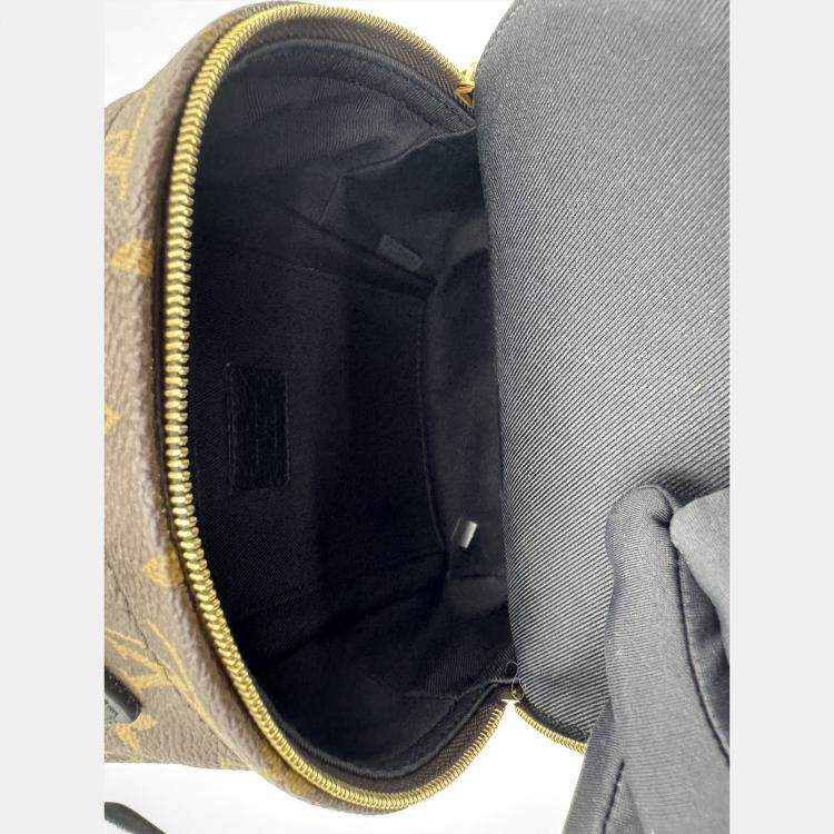 Pre Owned Louis Vuitton Monogram Canvas Mini Palm Springs Backpack