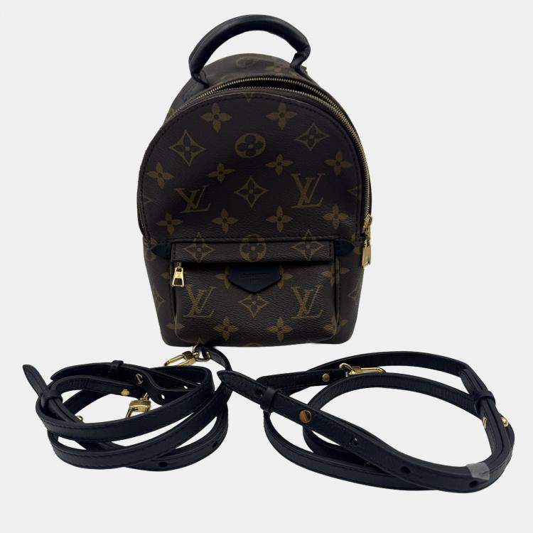 Pre Owned Louis Vuitton Monogram Canvas Mini Palm Springs Backpack